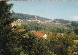 Mont De L'Enclus - Panorama - Mont-de-l'Enclus