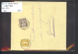 SUISSE - No 81 SUR BANDE DE JOURNAL ENTIER POSTAL 2ct ( 1 DENT COURTE )  - VOIR IMAGE POUR LES DETAILS - Cartas & Documentos