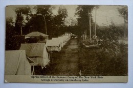 SPRUCE STREET OF THE SUMMER CAMP   OF THE NEW-YORK STATE COLLEGE OF FORESTRY  ON CRANBERRY LAKE - Syracuse