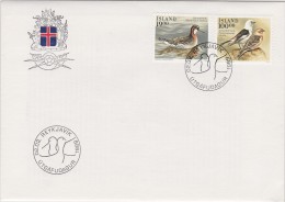 BIRDS VÖGEL OISEAU - PHALAROPE  - SNOW BUNTINGS  - ICELAND ISLAND 1989 MI 697 698 FDC - Albatros