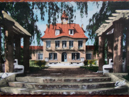 78 - LES CLAYES Sous BOIS - Jardin De La Mairie. (CPSM) - Les Clayes Sous Bois