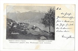 10501 - Obstaden Gegen Den Walensee Und Amden En 1898 - Sonstige & Ohne Zuordnung