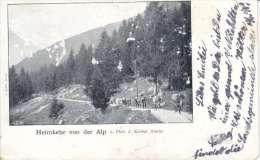 HEIMKEHR VON DER ALP-BETAILLES-DOS UNIQUE-5.05.02-photo.J.knobel.Glarus - Sonstige & Ohne Zuordnung