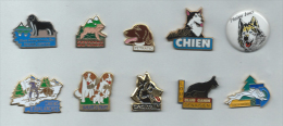 Lot De 10 Pin´s Chien Chiens Hund Dog Terre Neuve Plaine Joux Jura Neige Avalanches Club Canin Traineau - Tiere