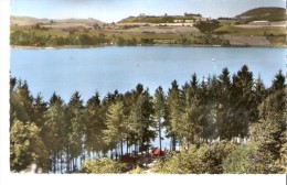 Charavines (Virieu-Isère)-1961-Le Bois D´Amour-Flamme "Lac De Paladru-Charavines-les-Ba Ins" (voir Scan) - Virieu