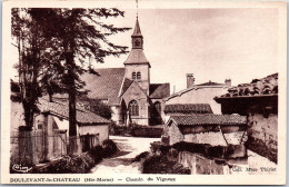 52 DOULEVANT LE CHÂTEAU - Chemin Du Vigneux - Doulevant-le-Château