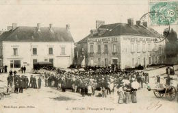 BRULON   Passage Des Troupes  , Avec L'hotel De La Boule D'or ,Toupin - Brulon