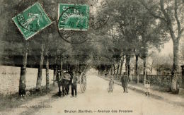 CPA    BRULON    Avenue Des Fresnes ,avec Des Personnes Et Un Attelage - Brulon