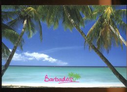 CPM BARBADOS - Barbades