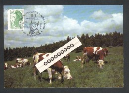 Troupeau De Vaches Montbéliardes - 100 ème Anniversaire Du Herd-Book Besançon 29 Et 30 Avril 1989 - Vacas