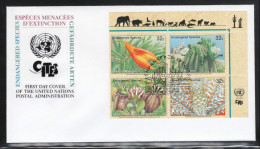 UN New York 1996, FDC 1, Gefährdete Pflanzen, Kaktus  / UN New York 1996, FDC 1, Endangered Plants, Cactus - Cactus