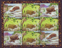 Abhasia 1999. Turtles. KB. MNH - Other & Unclassified