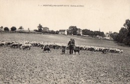 95 - SAINT-WITZ-MONTMELIAN - 1 - - Saint-Witz