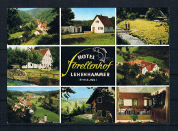 (603) AK Hotel Forellenhof - Lehenhammer Bei Sulzbach-Rosenberg - Sulzbach-Rosenberg