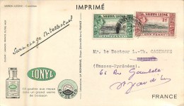 Sierra-Léone - ** Caméléon ** - Cp Voyagée En 1952 - Format (10 X 18 Cm) - Voir 2 Scans. - Sierra Leone