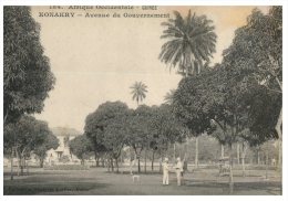 (ORL 370) Very Old Postcard - Carte Ancienne - Conakry Avenue Du Gouvernement - Guinée