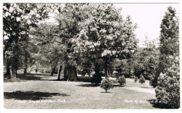 RB 996 -  Real Photo Postcard -  Hayes Garden Park - Middlesex London - Middlesex