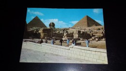 C-18464 CARTOLINA GIZA - THE SPHINX AND THE PYRAMIDS OF CHEOPS AND CHEPHREN - Gizeh