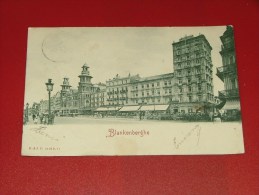 BLANKENBERGHE - BLANKENBERGE   -  De Statie  -  La Gare  -   1901  -  (2 Scans) - Blankenberge