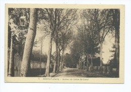 Carte Postale - Bernay - Avenue De Lottin-de-Laval - Bernay