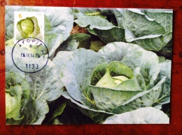 MACEDONIA , 2014, CARTE MAXIMUM, MICHEL 708 - CARROT ** - Gemüse