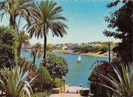 6383- POSTCARD, ASWAN- VIEW OF THE NILE, PANORAMA, BOAT - Assuan