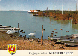 6458- POSTCARD, NEUSIEDL LAKE, BIRDS PARADISE, SWANS, DUCKS, BOATS - Autres & Non Classés