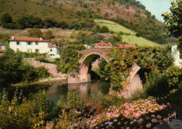 BIDARRAY   LE PONT NOBLIA - Bidarray