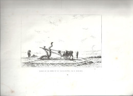 SARIEH Sur Les Bords Du Nil (Basse Egypte) De M. Berchère De 1865 - Estampes & Gravures