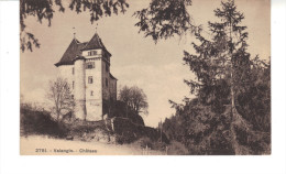 CPA   Valangin   Le Château. - NE Neuchatel