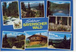 Schöner BAYERISCHER WALD, Mehrbildkarte, Gel. V. Zwiesel - Zwiesel