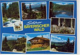 Schöner BAYERISCHER WALD - Mehrbildkarte , M. Marke EUROPA CEPT; Nice Stamp - Zwiesel