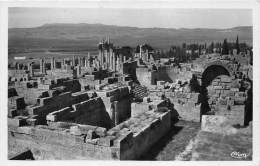 BF35685 Thebessa Ruines De La Basilique Vue Generale  Algeria Front/back Scan - Tébessa