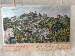 Dresden Loschwitz Luisenhof Seidenkarte Gruß Vom Postkarte Ansichtskarte AK 1902 Nach Harburg - Dippoldiswalde