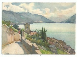 Suisse - St Saphorin - Illustrateur  Marc - Saint-Saphorin