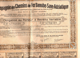 COMPAGNIE DES CHEMINS DE FER DANUBE SAVE ADRIATIQUE - VIENNE - AUTRICHE - OBLIGATION AU PORTEUR A REVENU VARIABLE - 1923 - Ferrocarril & Tranvías