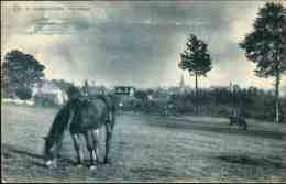 Gansoren : Panorama - Chevaux / Vue Unique - Ganshoren