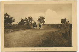 25 Kandy Course De Chevaux 1914 Race Course - Sri Lanka (Ceylon)