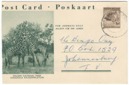 RSA - South Africa - Sud Africa - 1958 - Post Card - Intero Postale - Entier Postal - Postal Stationery - Kruger Nati... - Storia Postale