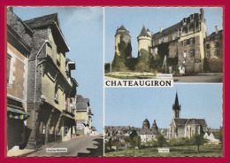 CHÂTEAUGIRON. Multivues. (C.P.S.M. - Grand Format. - Voir Description.) - Châteaugiron