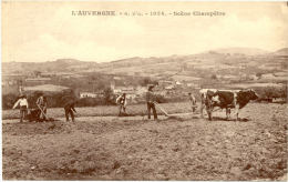 Belle CPA A - Scéne Champetre ( Attelage Au Labour) - Auvergne