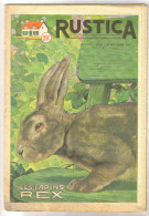 Revue Ancienne 1955 "Rustica   "les Lapins Rex"  N° 51 - Animaux