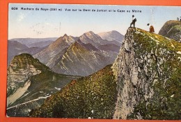 BSD-25 Rochers De Naye Vue Sur Le Dent De Jaman Et Cape Au Moine. ANIME.  Cachet 1924 Pour La Tour-de-Pelz - Roche