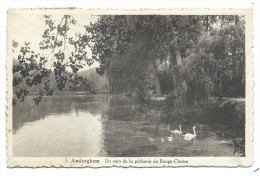 Carte Postale - AUDERGHEM - OUDERGEM - Un Coin De La Pêcherie Du Rouge Cloître - CPA   // - Oudergem - Auderghem