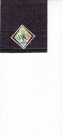 BAHAMAS  1970 - Yvert  288° - Scout - 1963-1973 Ministerial Government