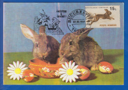 Rumänien; Hasen; Léporidés; Hare; Maximumcarte; 1994 - Conejos