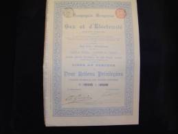 Titre De 2 Actions Privilégiées " Cie Hongroise Gaz Et Electricité " Bruxelles 1896 Très Bon état,avec Tous Les Coupons. - Elektrizität & Gas