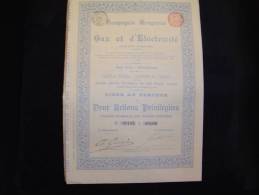 Titre De 2 Actions Privilégiées " Cie Hongroise Gaz Et Electricité " Bruxelles 1896 Très Bon état,avec Tous Les Coupons. - Electricité & Gaz