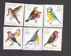 German Democratic Republic 1979 Song Birds MNH - Andere & Zonder Classificatie