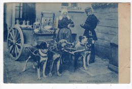 Belgique-Bruxelles-Laitiè Re Flamande- Attelage De Chiens- Cpa - Petits Métiers